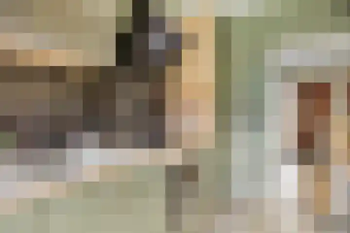 Weegschaalstraat 24 Eindhoven thumbnail 12