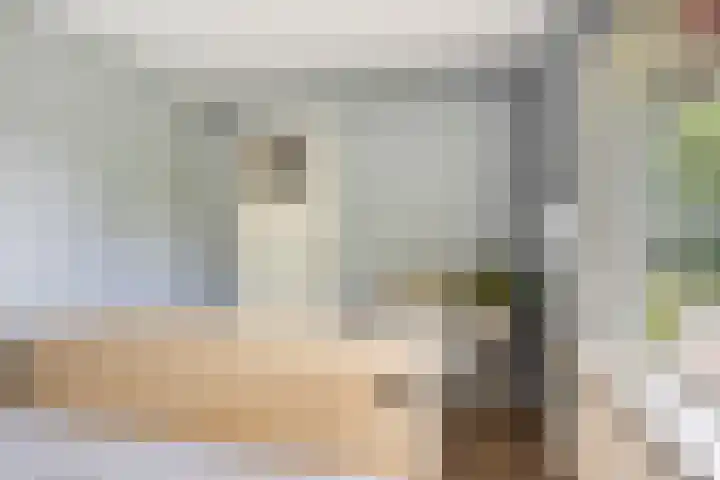 Weegschaalstraat 24 Eindhoven thumbnail 16