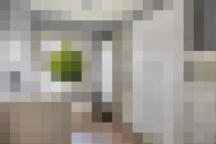 Weegschaalstraat 24 Eindhoven thumbnail 20