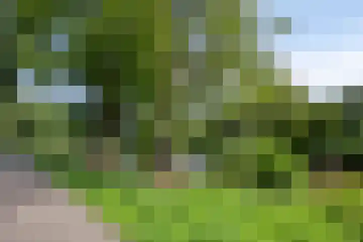 Weegschaalstraat 24 Eindhoven thumbnail 31