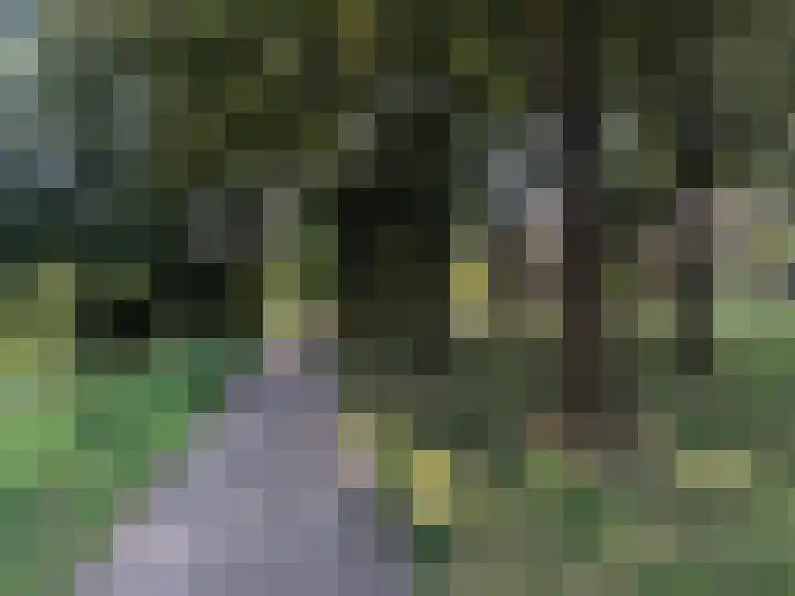 Weegschaalstraat 24 Eindhoven thumbnail 36