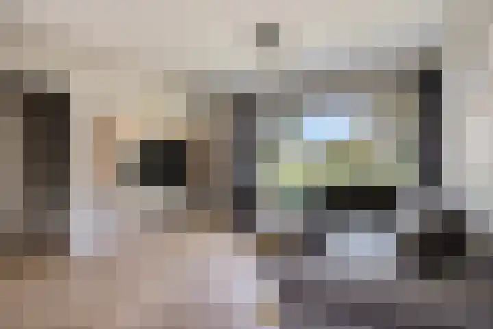 Weegschaalstraat 24 Eindhoven thumbnail 5