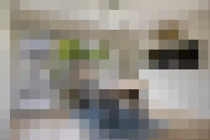 Weegschaalstraat 24 Eindhoven thumbnail 8