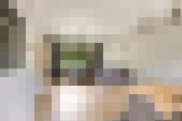 Weegschaalstraat 24 Eindhoven thumbnail 9