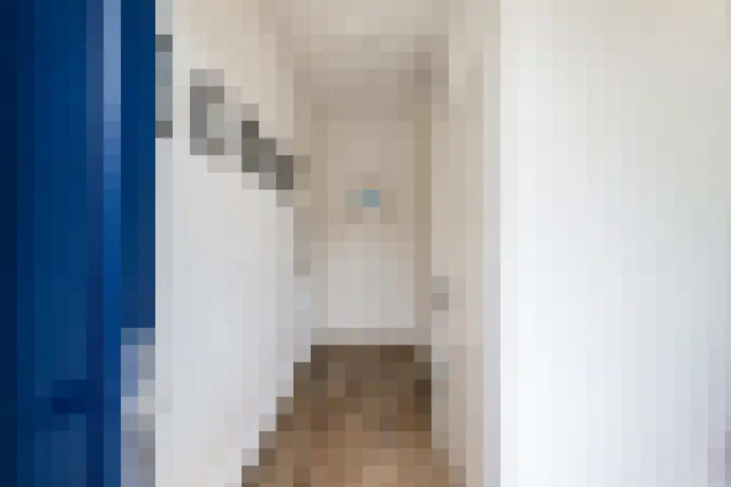Weegschaalstraat 31 Groningen thumbnail 6