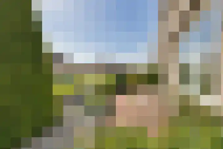 Weegschaalstraat 32 Volendam thumbnail 8