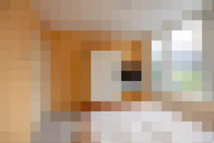 Weegschaalstraat 34 Groningen thumbnail 28
