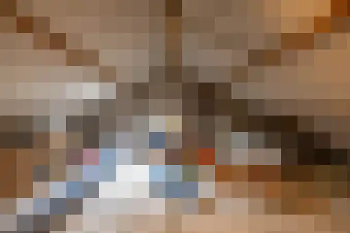 Weegschaalstraat 34 Groningen thumbnail 33