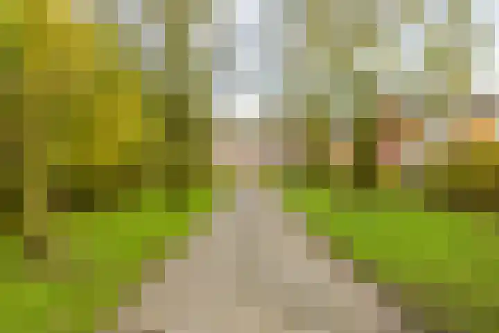 Weegschaalstraat 34 Groningen thumbnail 36
