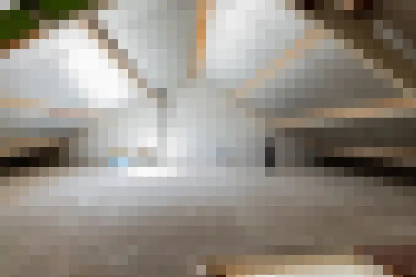 Weegschaalstraat 38 Groningen thumbnail 30