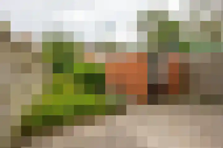 Weegschaalstraat 44 Groningen thumbnail 33