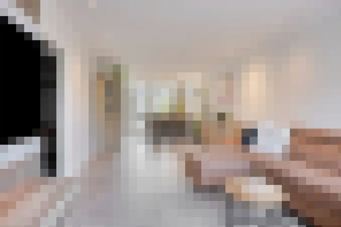 Weegschaalstraat 6 Eindhoven thumbnail 14