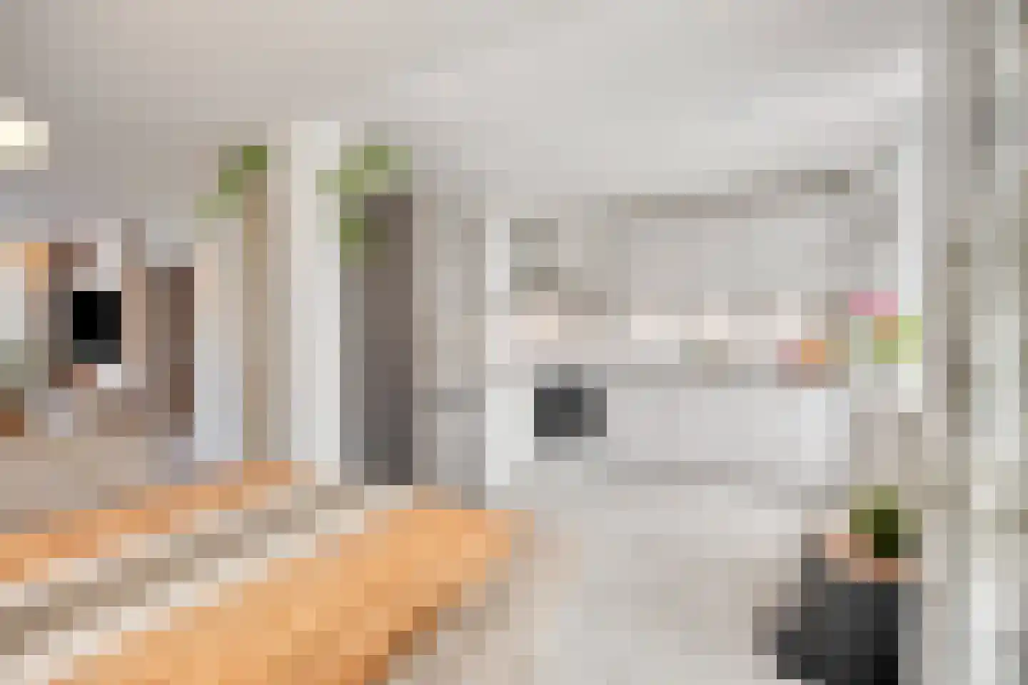 Weegschaalstraat 6 Eindhoven thumbnail 17