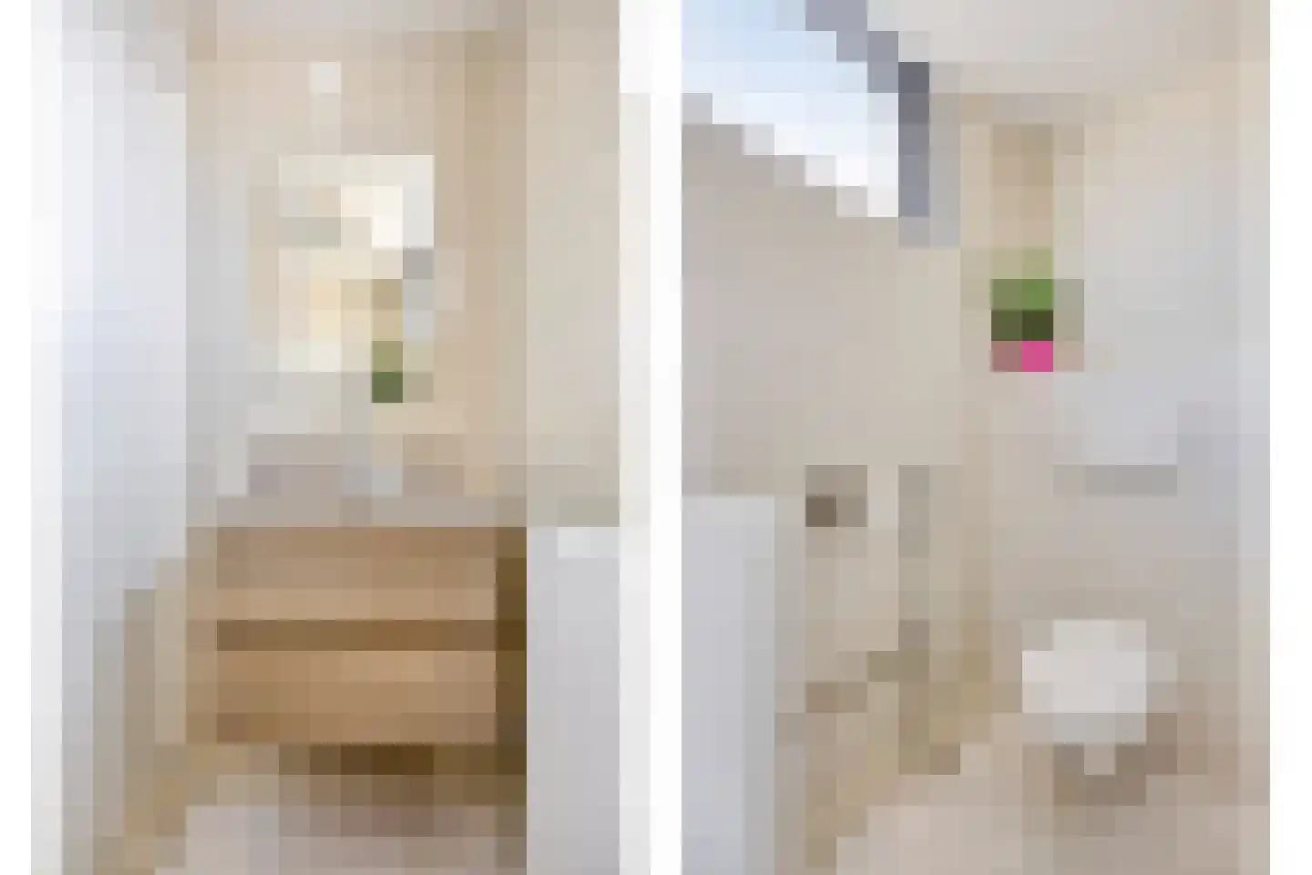 Weegschaalstraat 6 Eindhoven thumbnail 23
