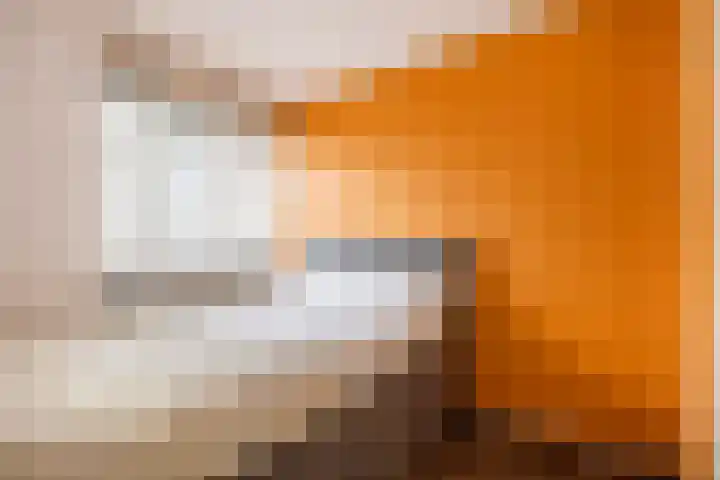 Weegsteen 7 Amersfoort thumbnail 26