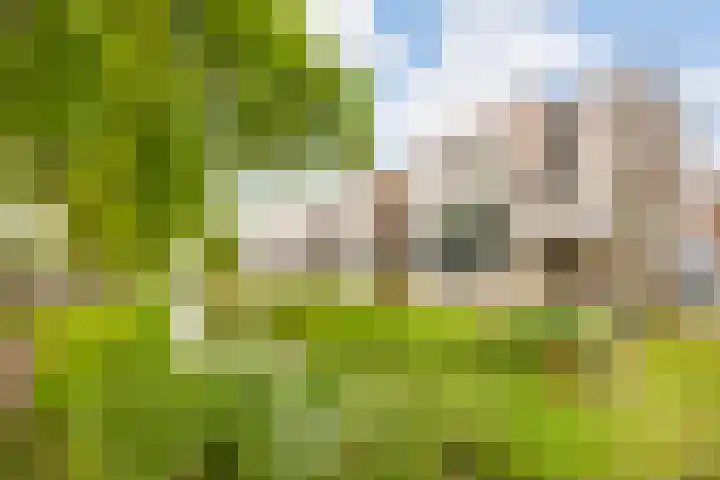 Weegsteen 7 Amersfoort thumbnail 33