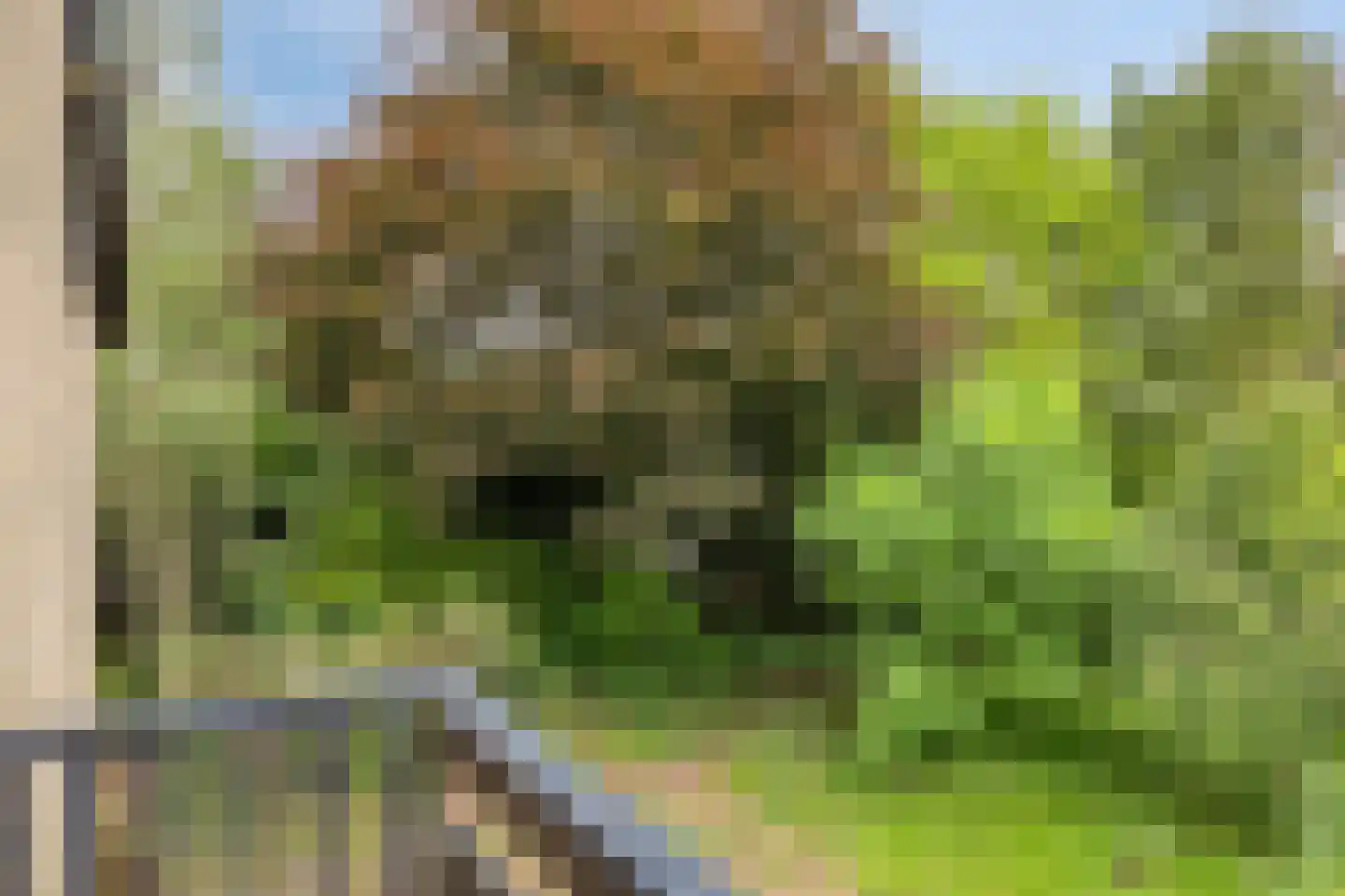Weeldenberg 2 Oosterhout thumbnail 21