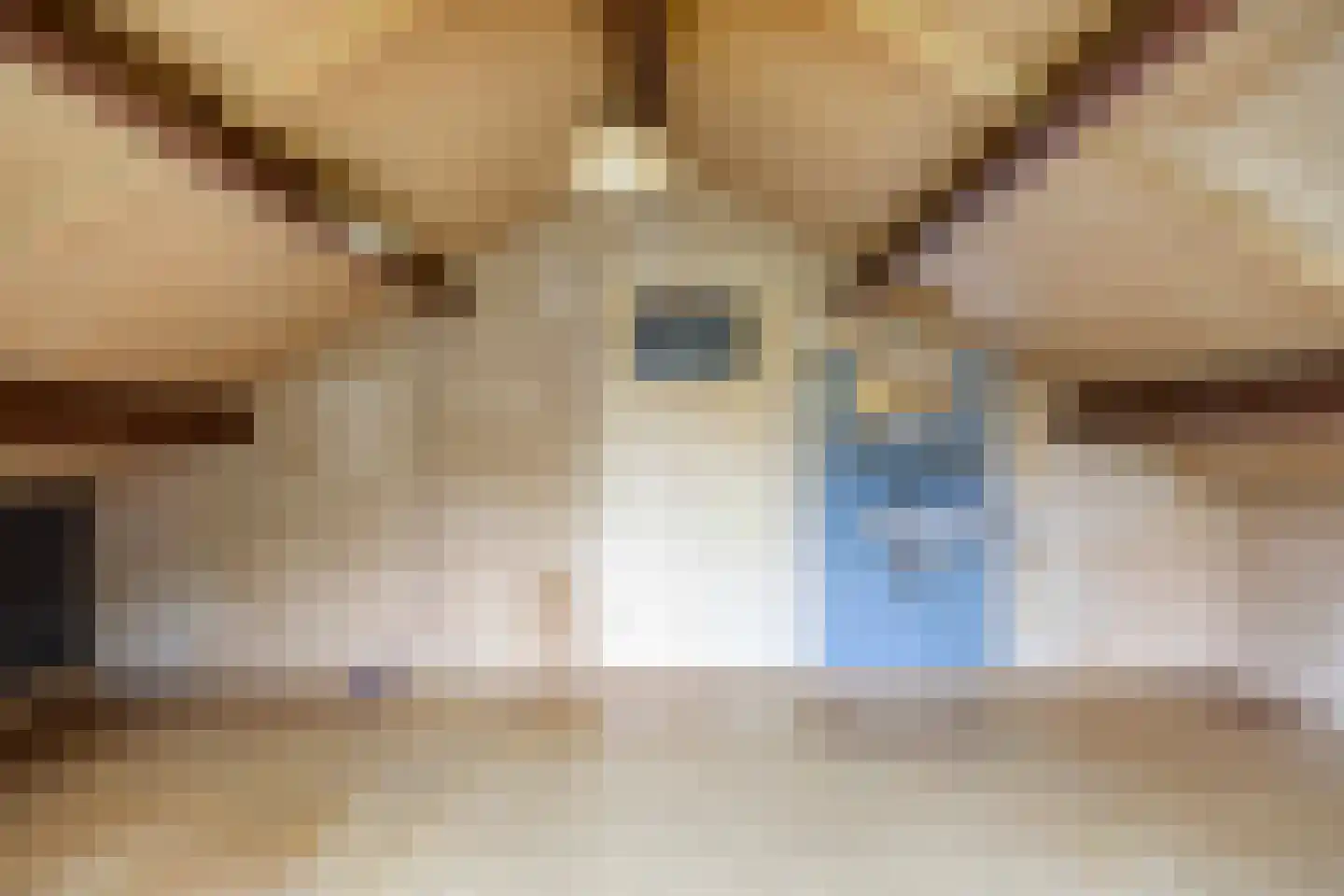 Weeldenberg 2 Oosterhout thumbnail 25