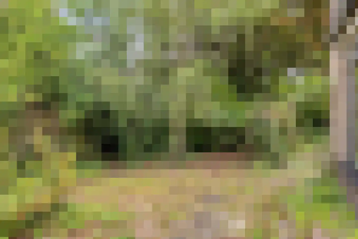 Weeldenberg 2 Oosterhout thumbnail 26