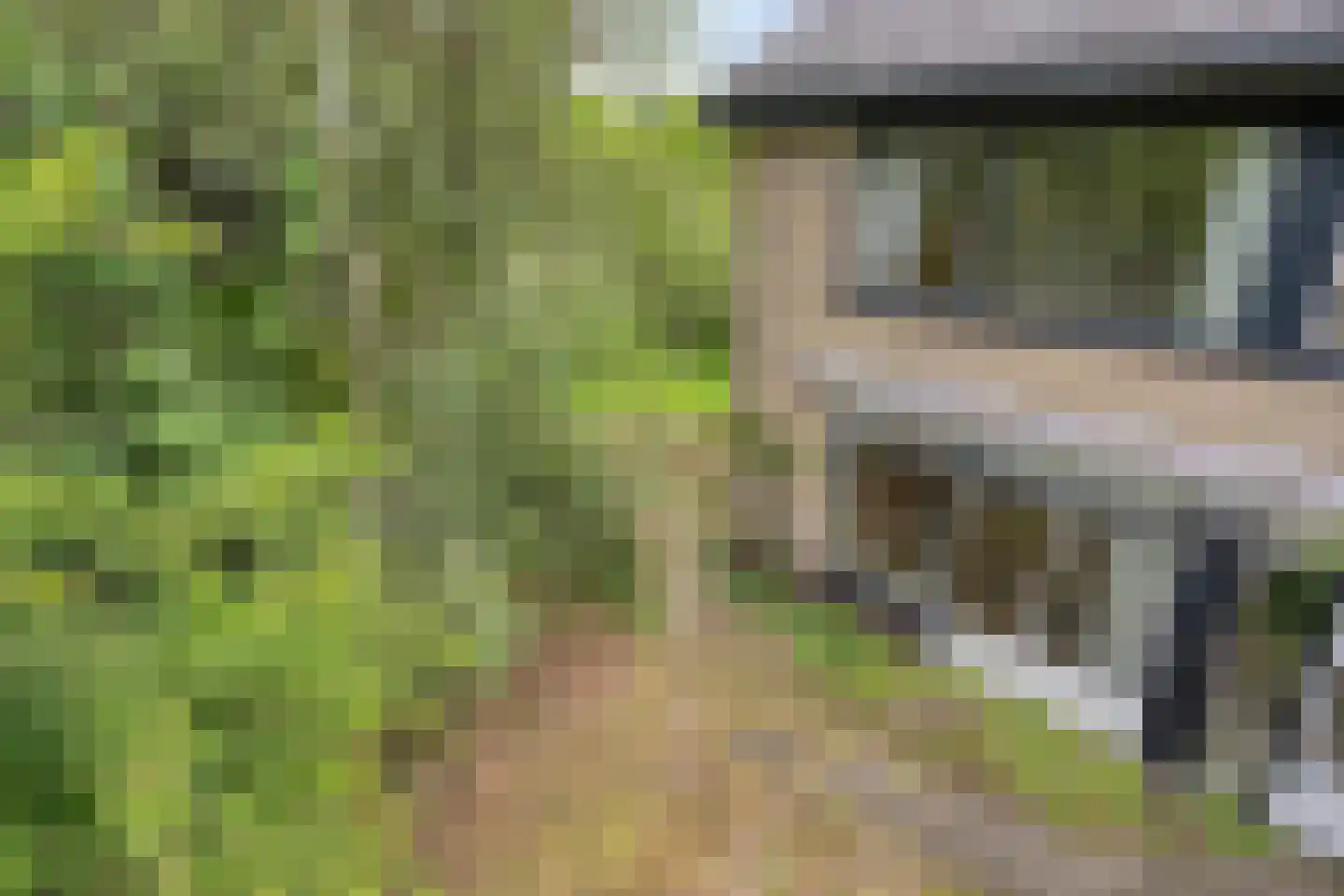 Weeldenberg 2 Oosterhout thumbnail 29