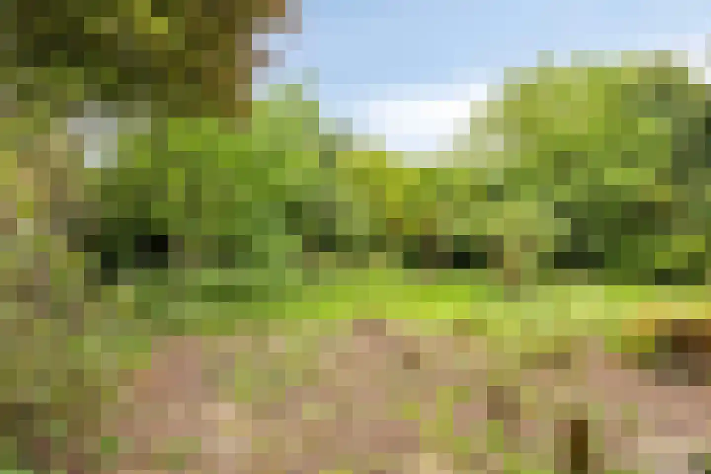 Weeldenberg 2 Oosterhout thumbnail 30