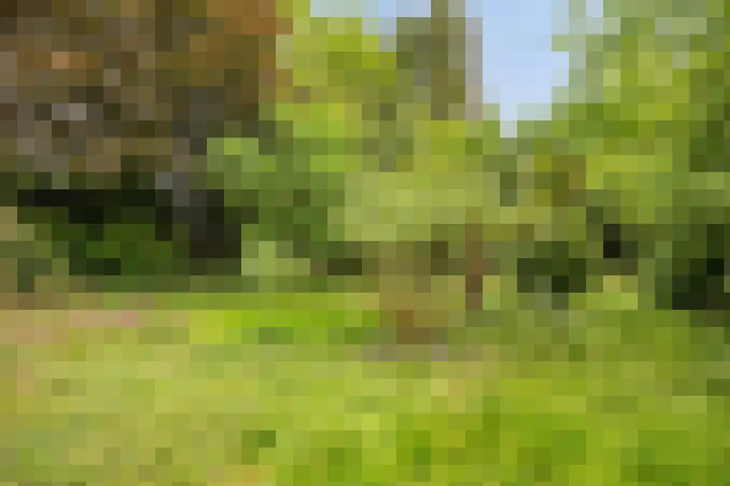 Weeldenberg 2 Oosterhout thumbnail 31
