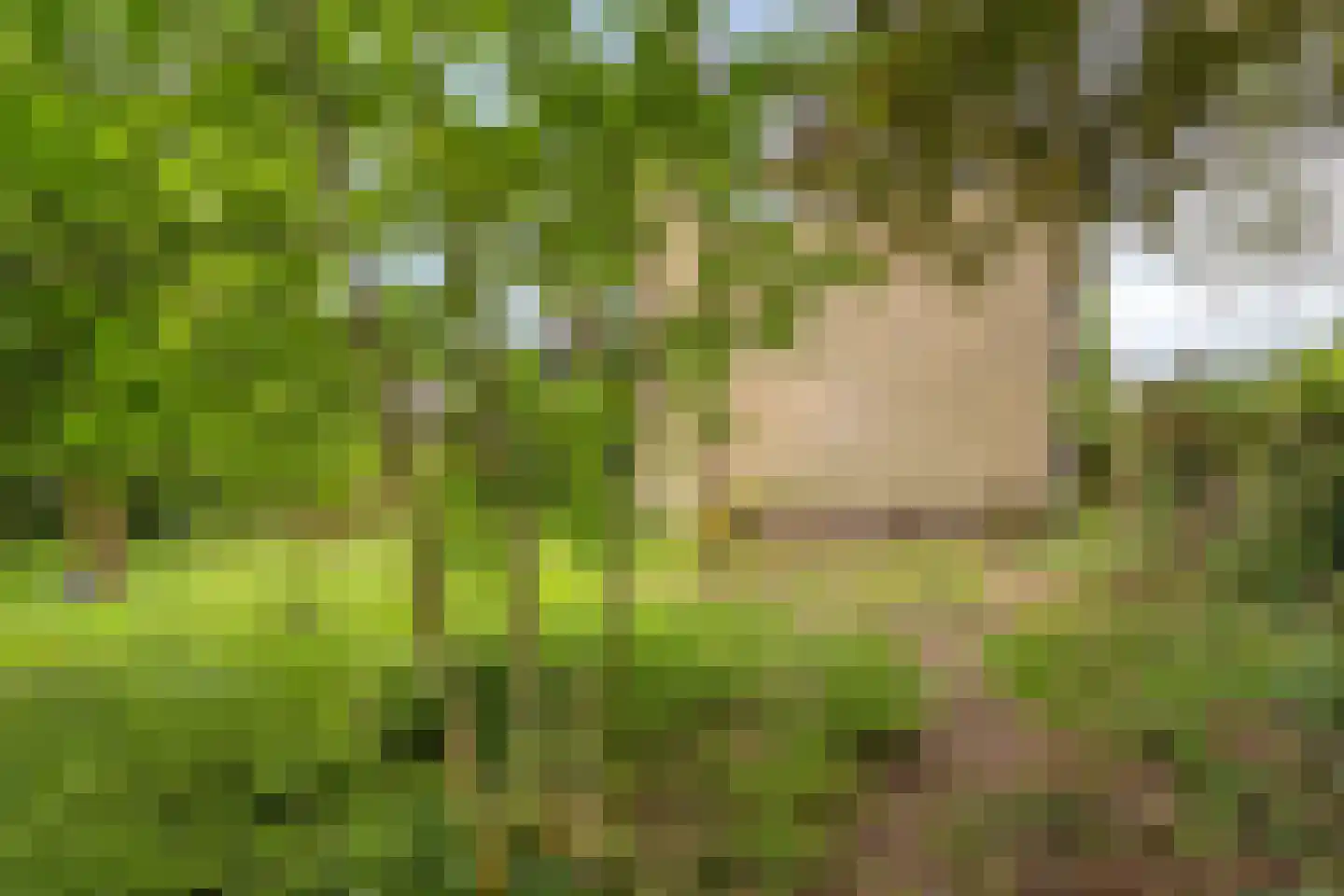 Weeldenberg 2 Oosterhout thumbnail 32