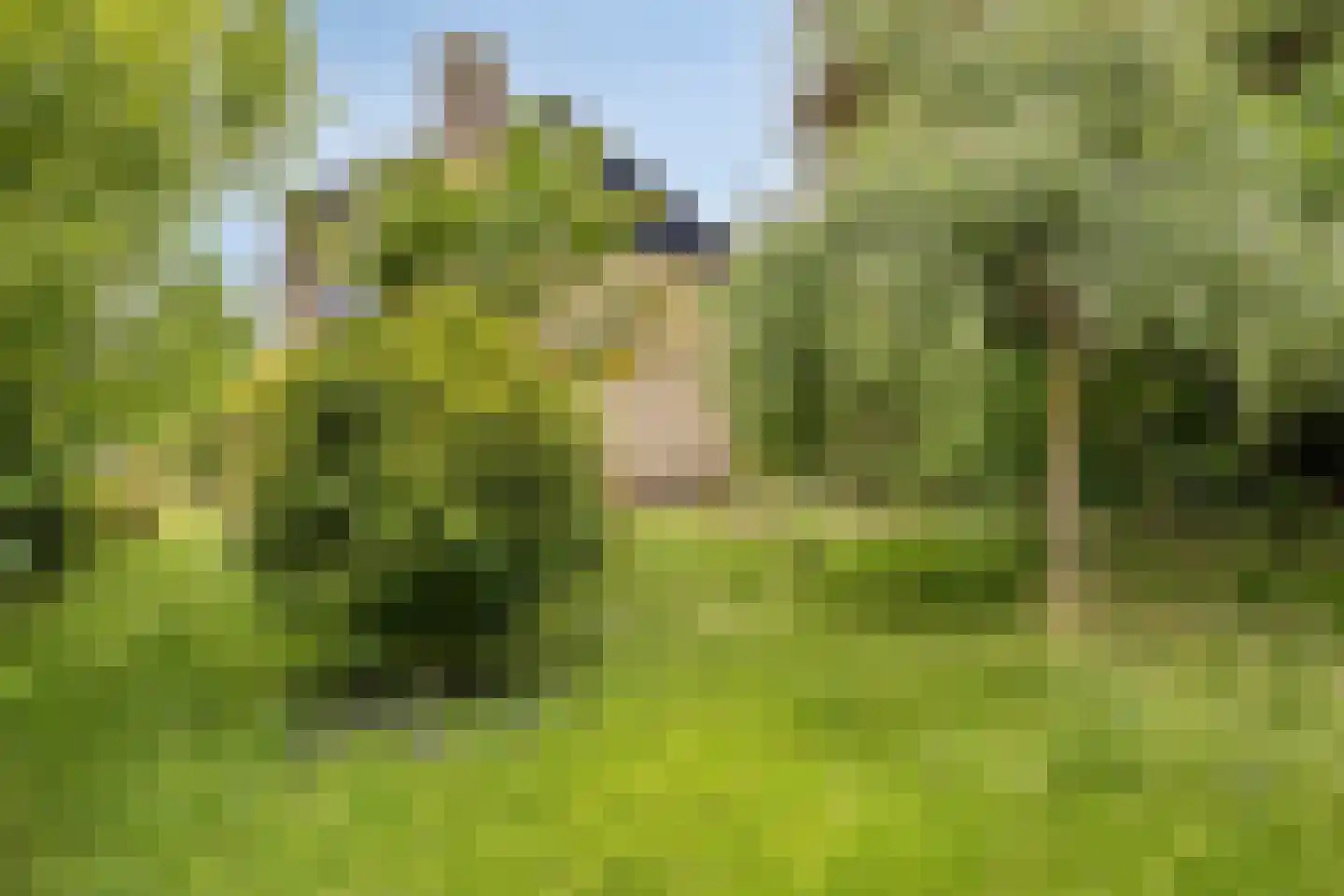 Weeldenberg 2 Oosterhout thumbnail 33