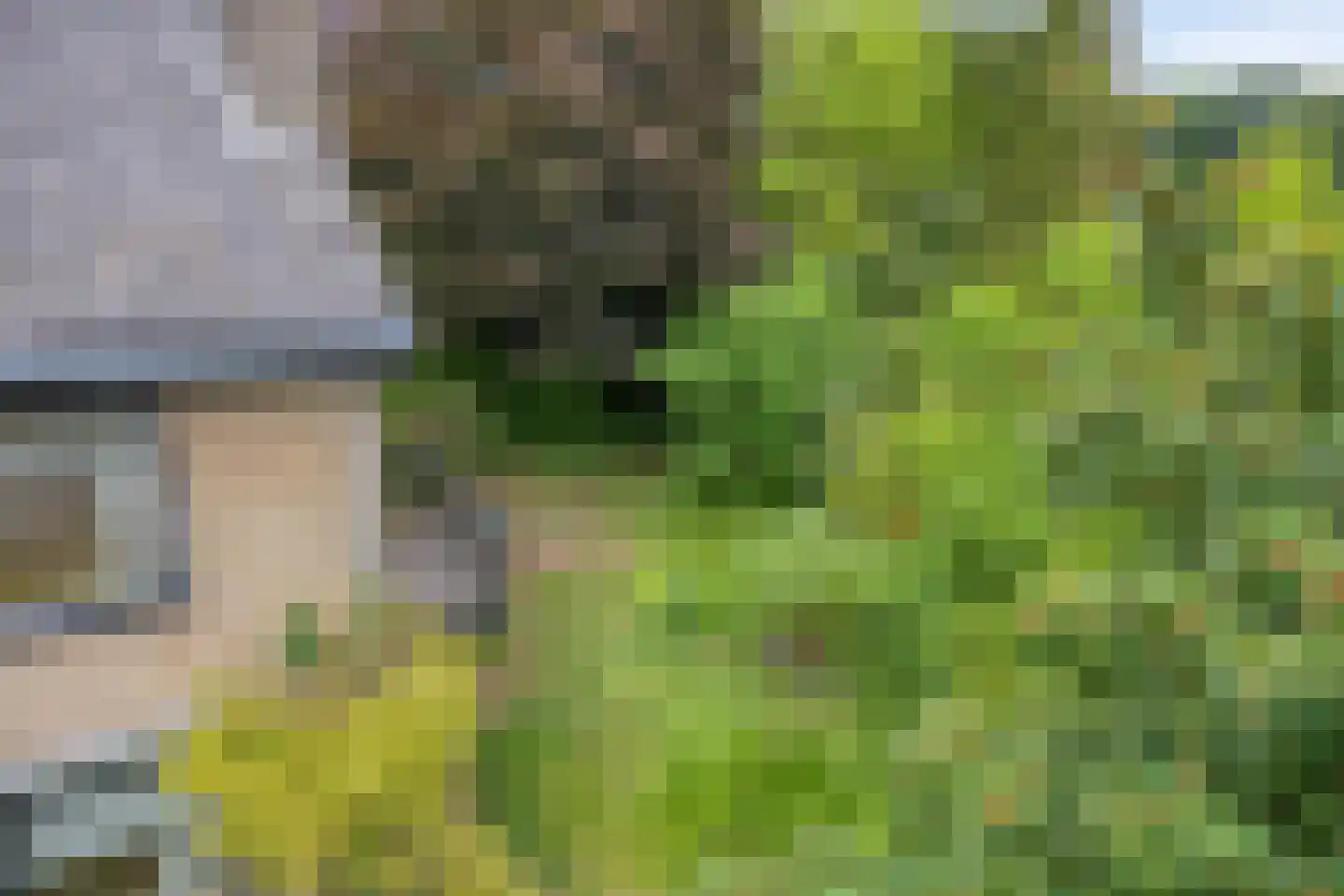 Weeldenberg 2 Oosterhout thumbnail 34