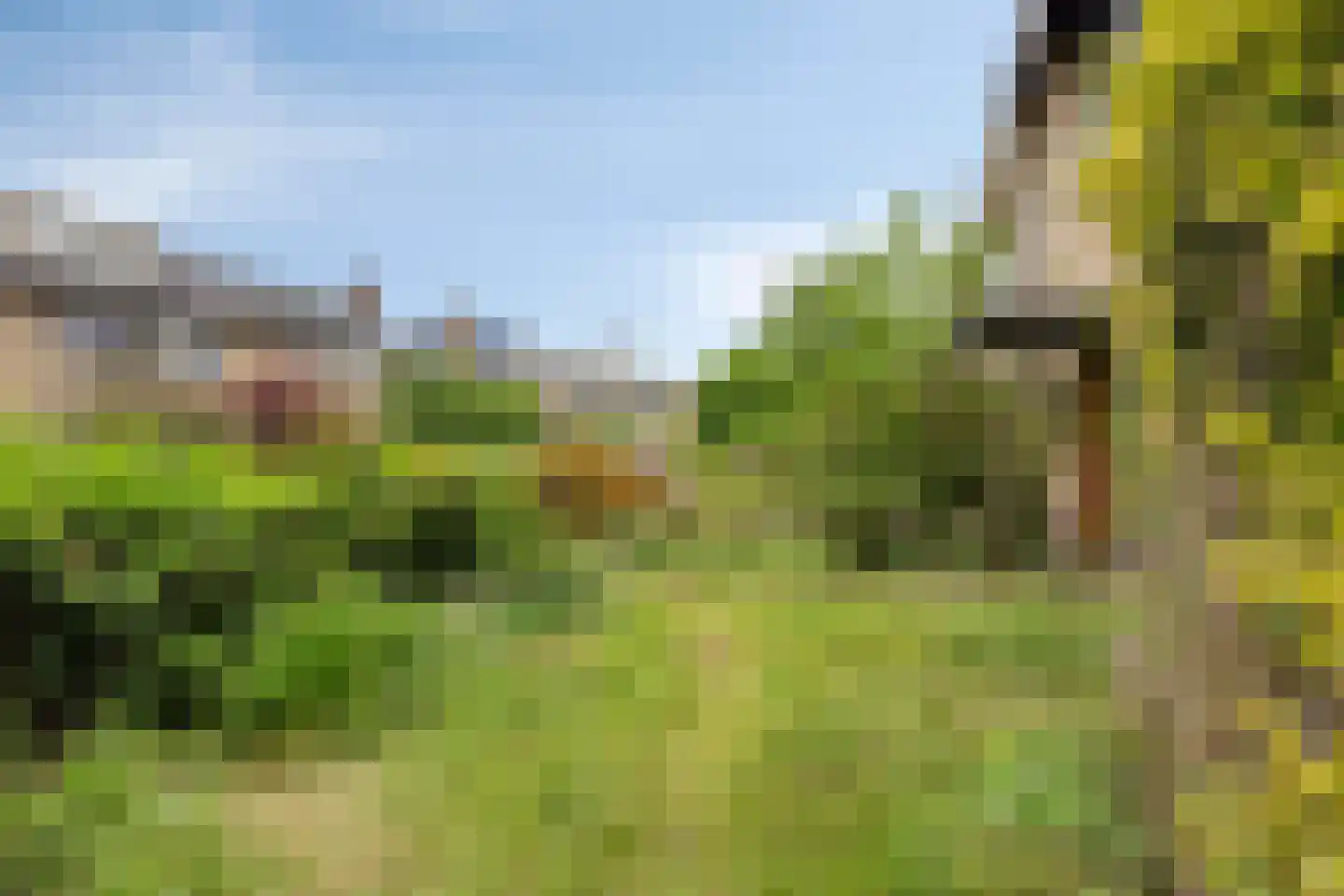Weeldenberg 2 Oosterhout thumbnail 35