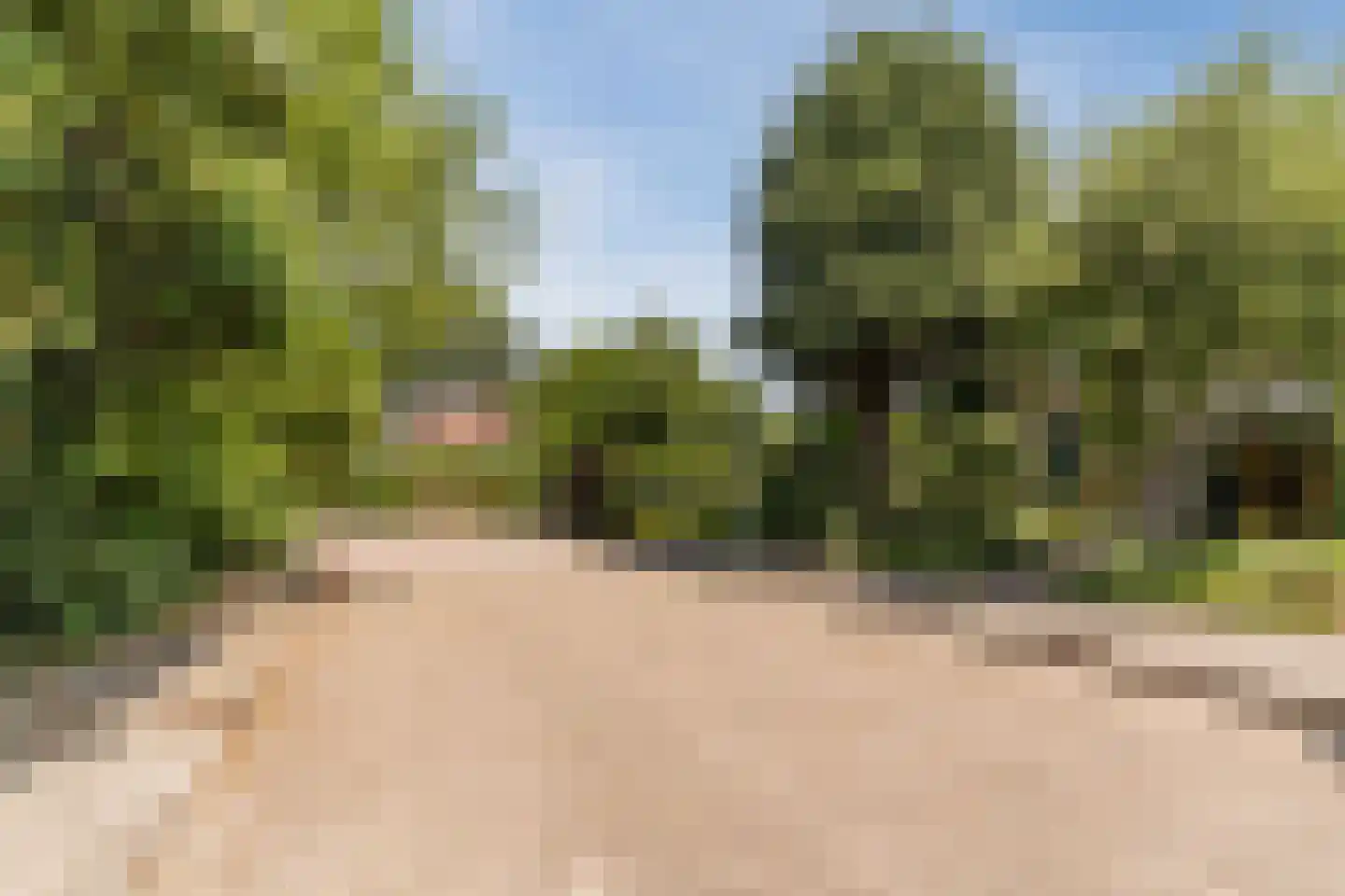 Weeldenberg 3 Oosterhout thumbnail 7