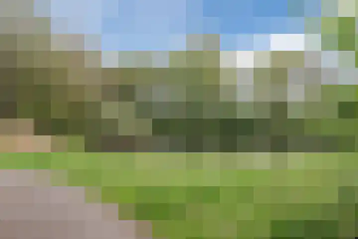 Weeldenberg 8 Oosterhout thumbnail 23