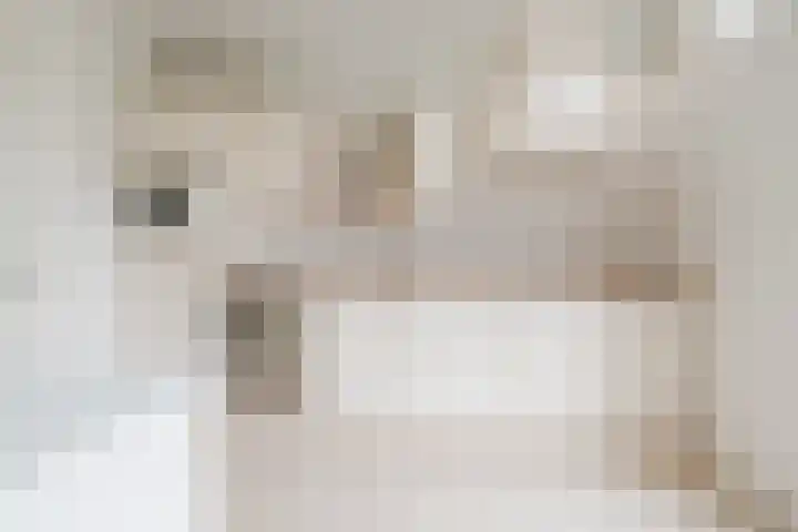 Weeldenberg 8 Oosterhout thumbnail 8