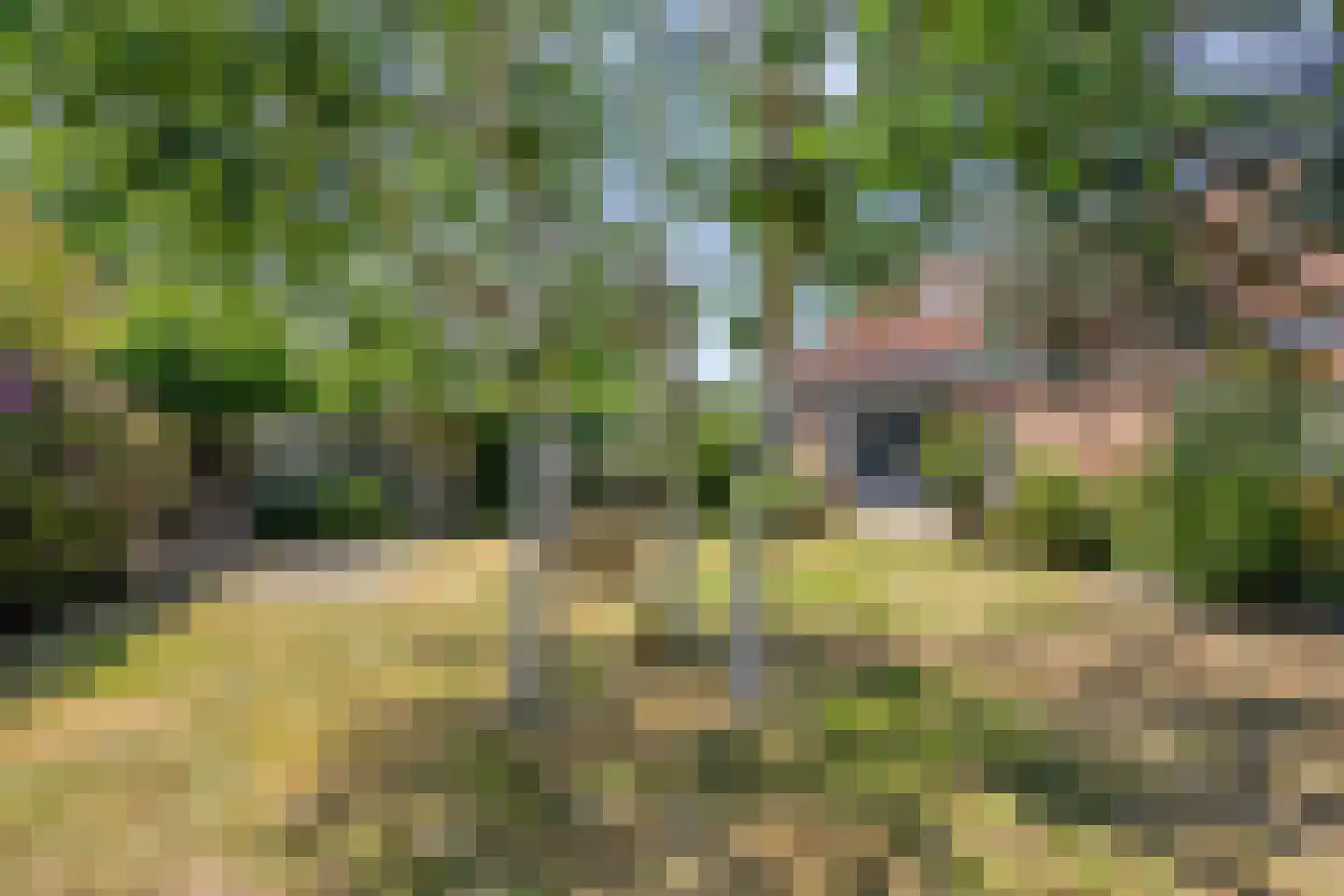Weeldeweg 10 b Burgh-Haamstede thumbnail 21