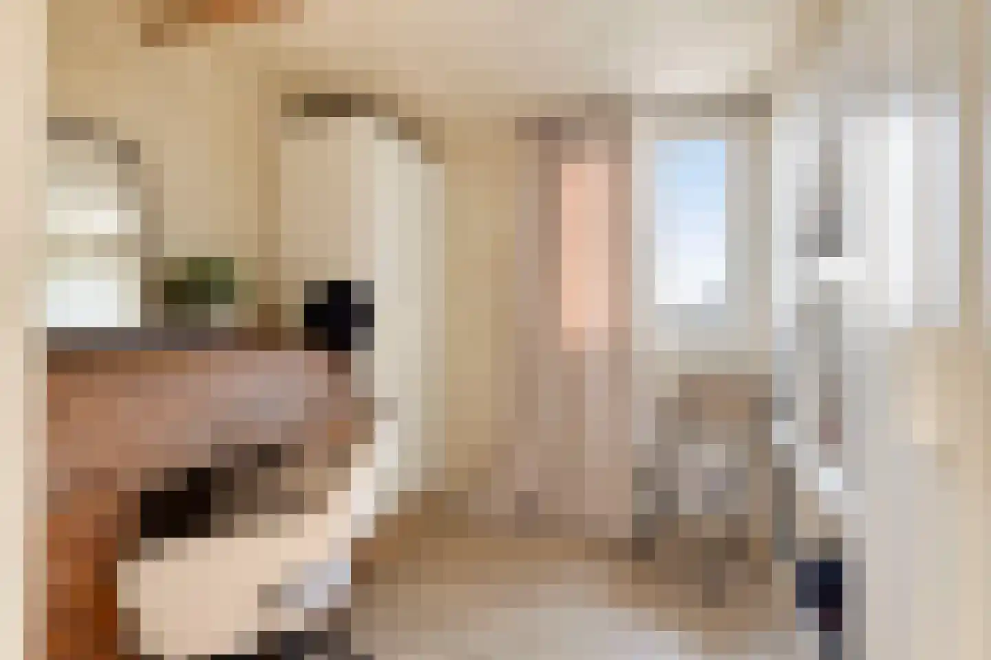 Weeldeweg 11 Burgh-Haamstede thumbnail 23