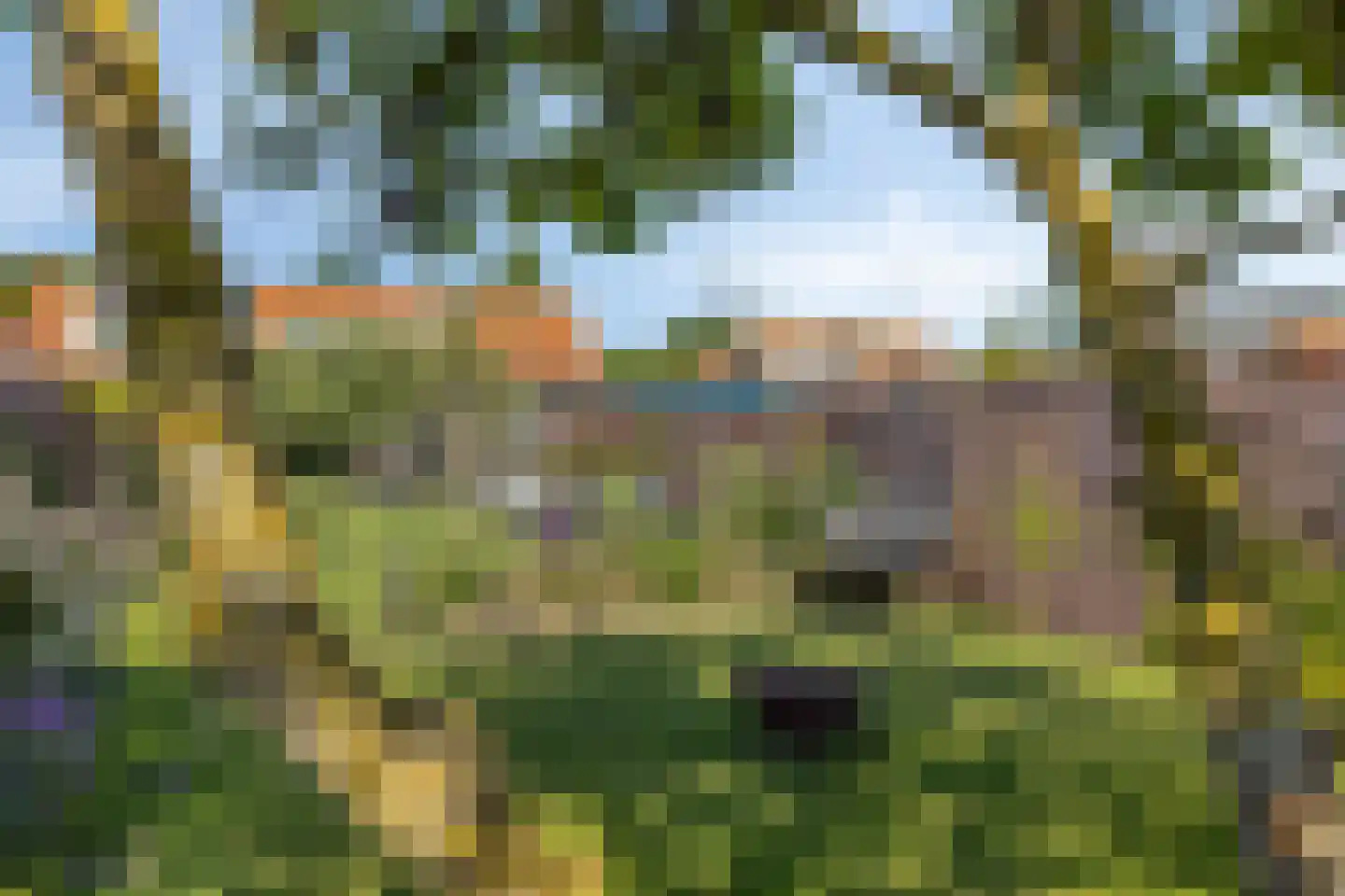 Weeldeweg 11 Burgh-Haamstede thumbnail 32