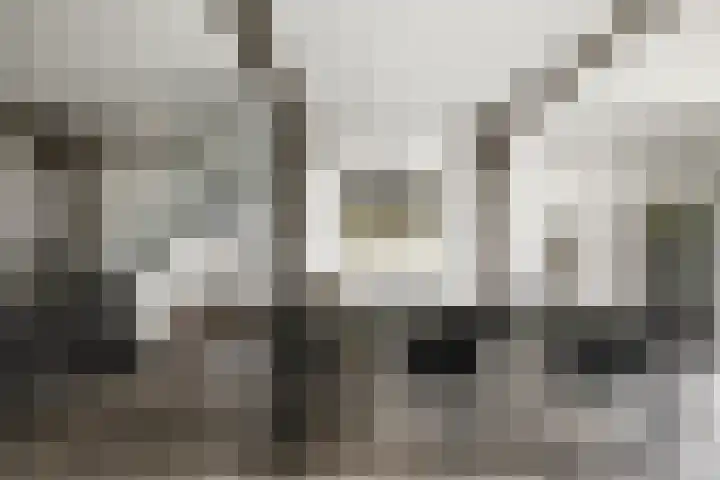 Weeleweg 12 a Heeten thumbnail 14