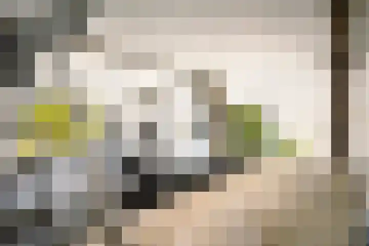 Weeleweg 12 a Heeten thumbnail 17