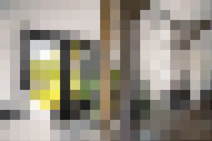 Weeleweg 12 a Heeten thumbnail 22