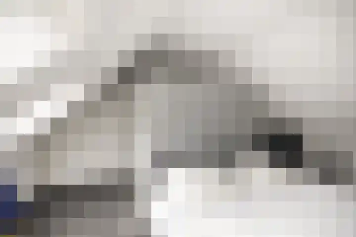 Weeleweg 12 a Heeten thumbnail 31