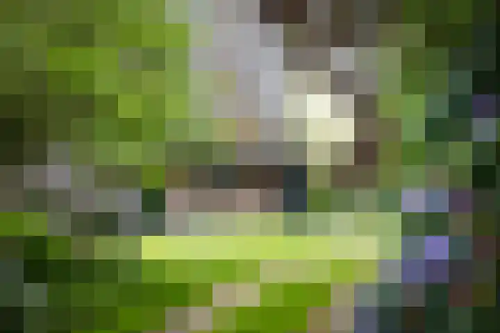 Weeleweg 12 a Heeten thumbnail 35