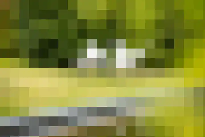 Weeleweg 12 a Heeten thumbnail 36