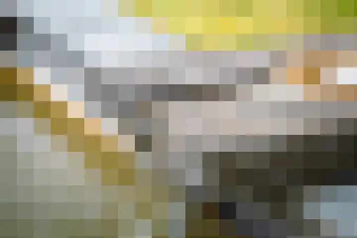 Weeleweg 12 a Heeten thumbnail 37