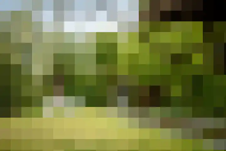 Weeleweg 12 a Heeten thumbnail 41