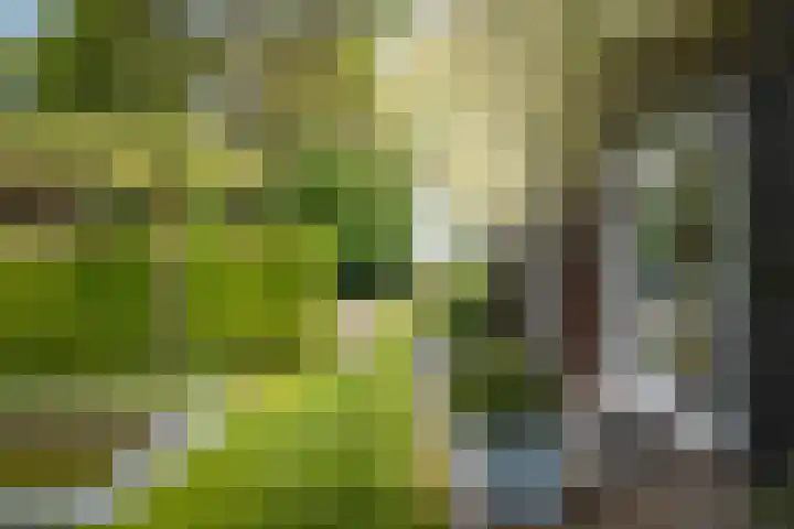 Weeleweg 12 a Heeten thumbnail 42