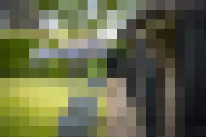 Weeleweg 12 a Heeten thumbnail 43