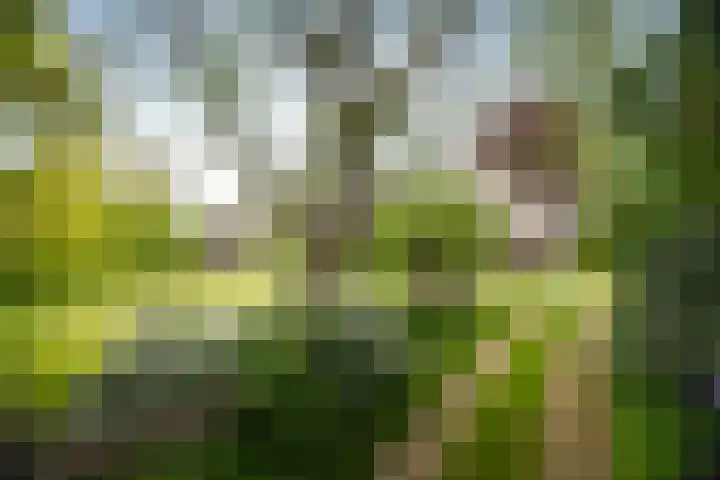Weeleweg 12 a Heeten thumbnail 47