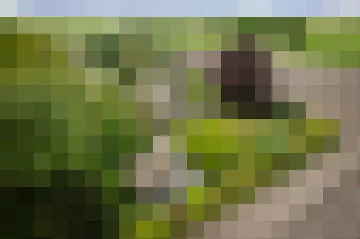 Weeleweg 12 a Heeten thumbnail 49