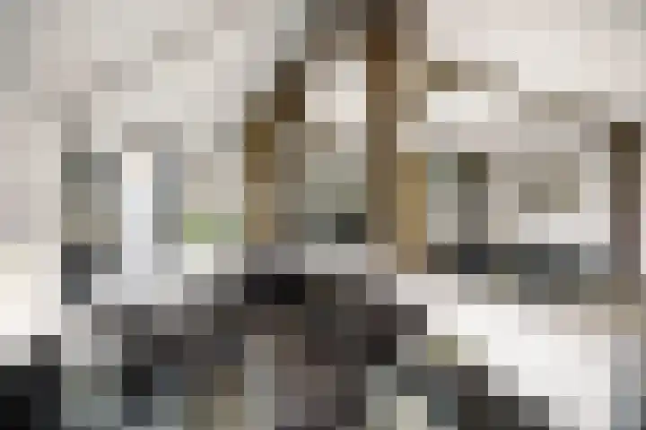Weeleweg 12 a Heeten thumbnail 5