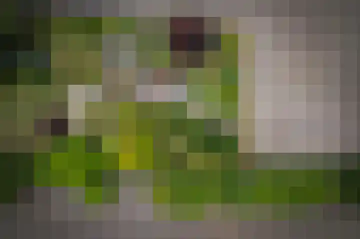 Weeleweg 12 a Heeten thumbnail 52